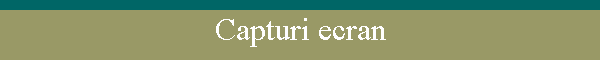 Capturi ecran