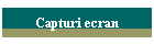 Capturi ecran