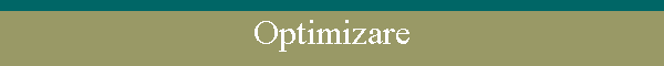 Optimizare