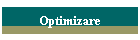 Optimizare